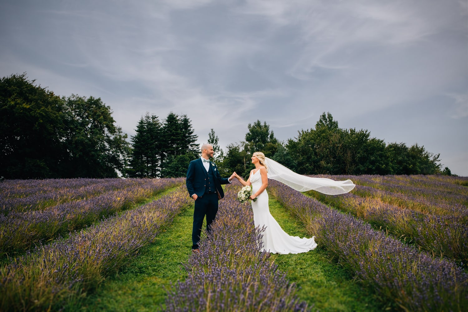 The Lavender Fields at The Black Horse Beamish