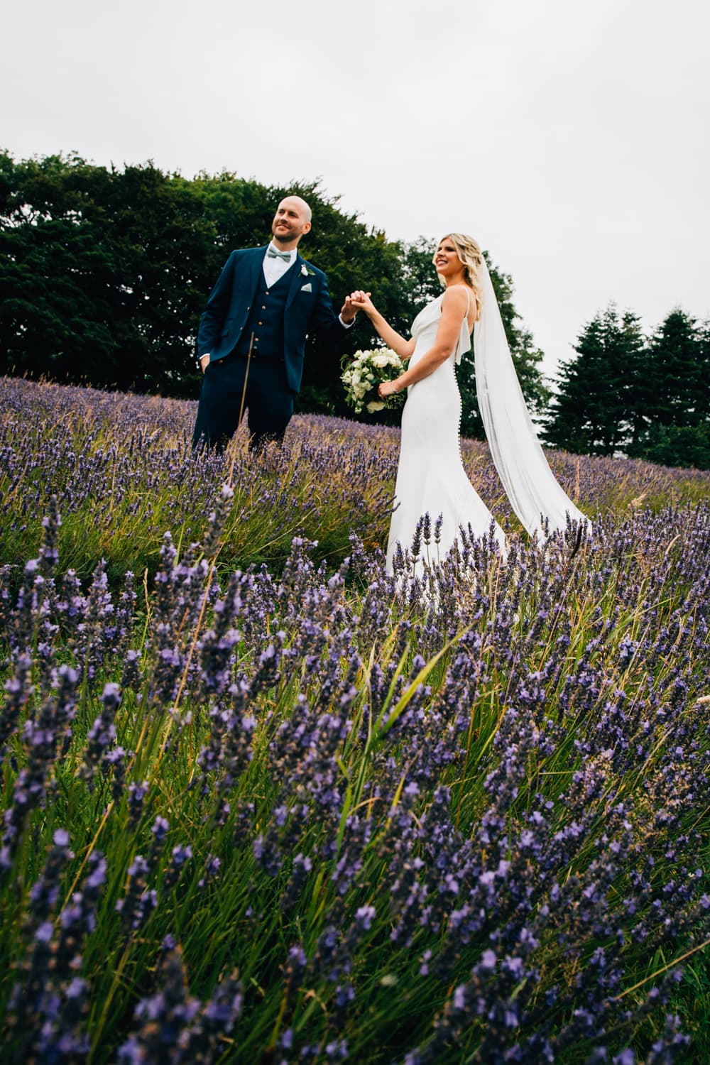 The Lavender Fields at The Black Horse Beamish